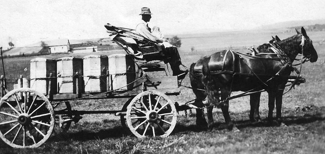 Wagon hauling cream