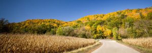 Wisconsin Road